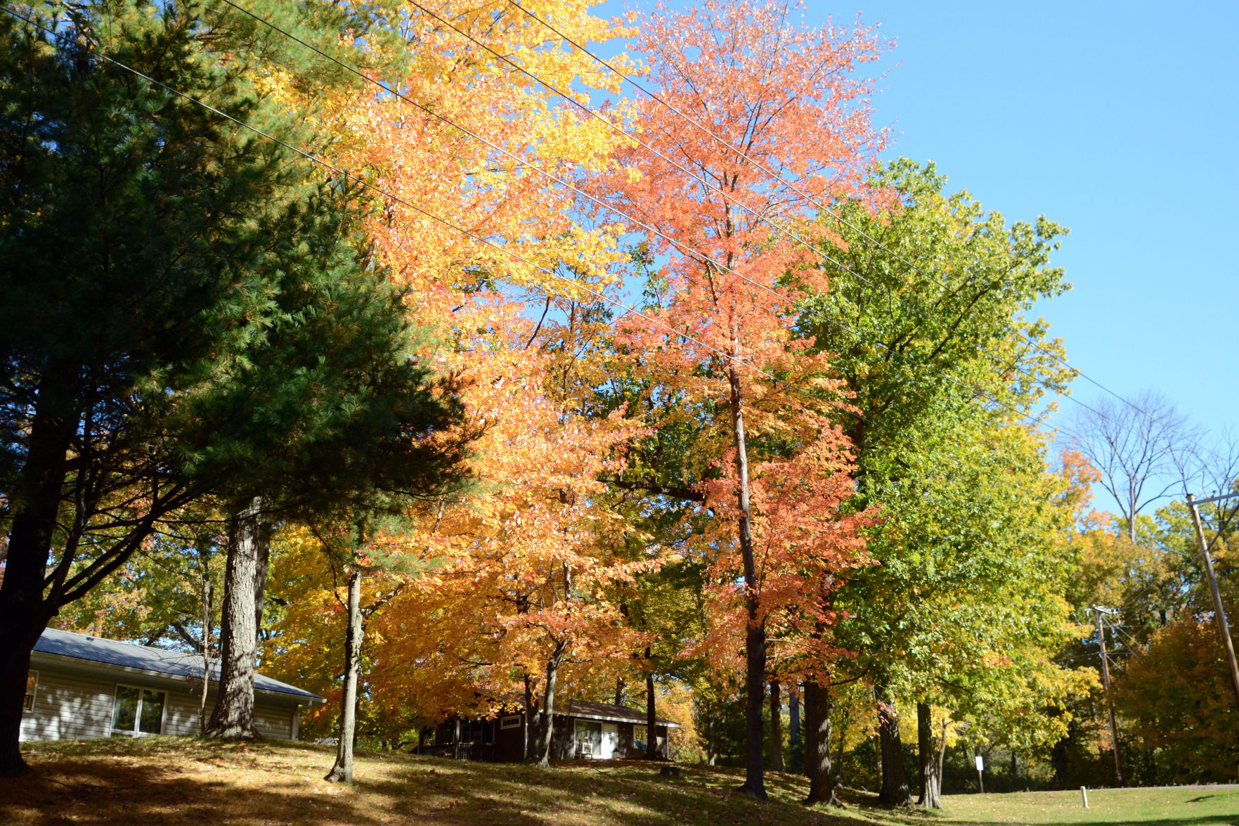 Baraboo area fall color, Oct. 8, 2020